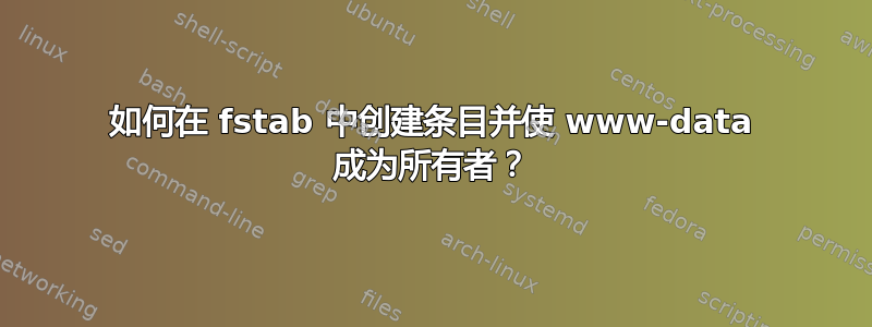 如何在 fstab 中创建条目并使 www-data 成为所有者？