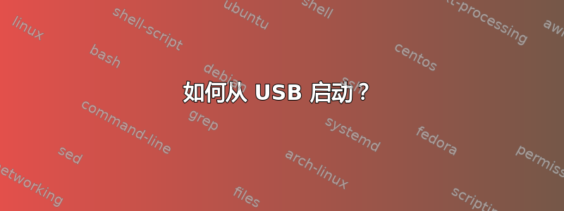 如何从 USB 启动？