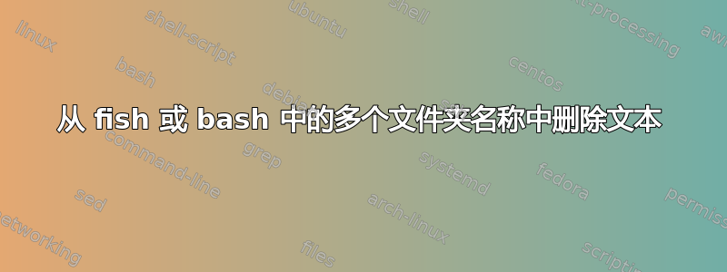 从 fish 或 bash 中的多个文件夹名称中删除文本