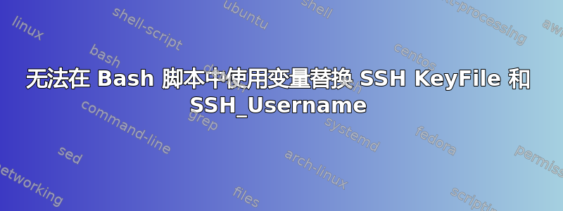 无法在 Bash 脚本中使用变量替换 SSH KeyFile 和 SSH_Username