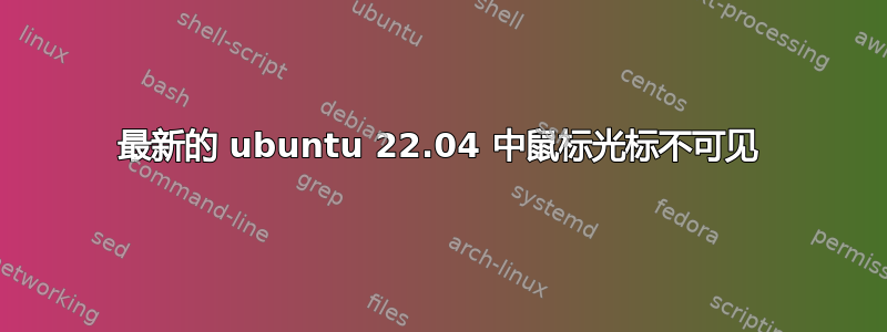 最新的 ubuntu 22.04 中鼠标光标不可见