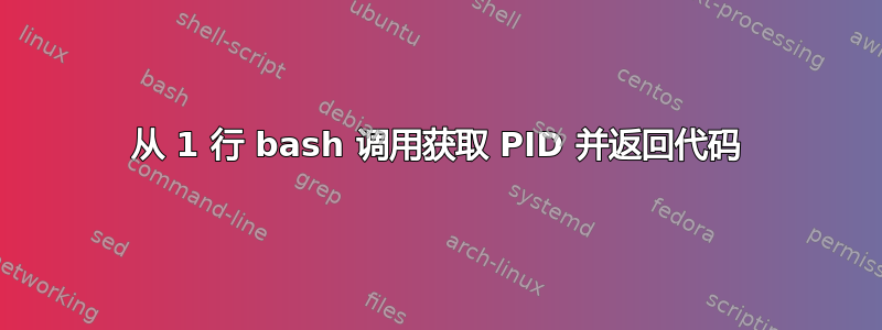 从 1 行 bash 调用获取 PID 并返回代码