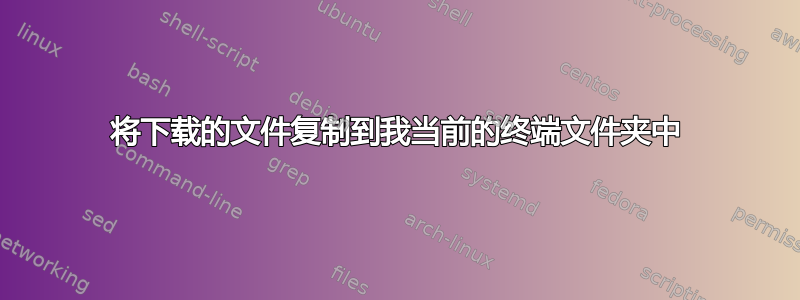 将下载的文件复制到我当前的终端文件夹中