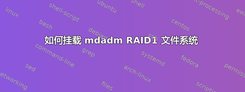 如何挂载 mdadm RAID1 文件系统