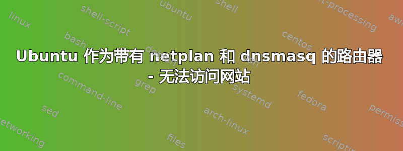 Ubuntu 作为带有 netplan 和 dnsmasq 的路由器 - 无法访问网站