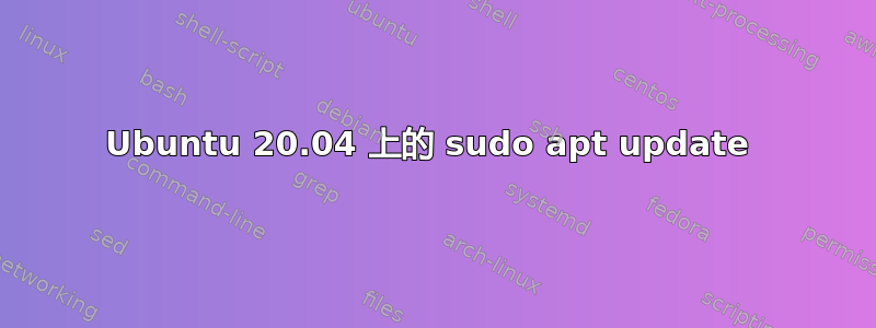 Ubuntu 20.04 上的 sudo apt update 