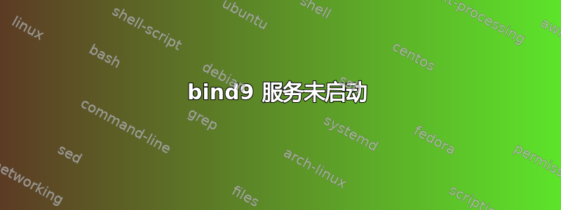 bind9 服务未启动