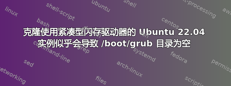 克隆使用紧凑型闪存驱动器的 Ubuntu 22.04 实例似乎会导致 /boot/grub 目录为空