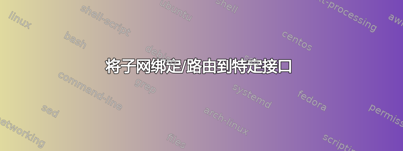 将子网绑定/路由到特定接口