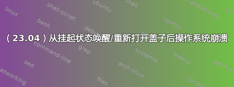 （23.04）从挂起状态唤醒/重新打开盖子后操作系统崩溃