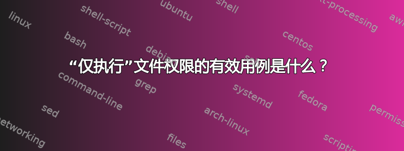 “仅执行”文件权限的有效用例是什么？