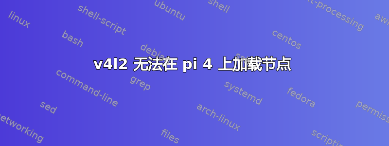 v4l2 无法在 pi 4 上加载节点