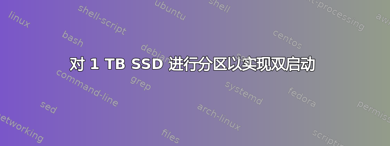 对 1 TB SSD 进行分区以实现双启动