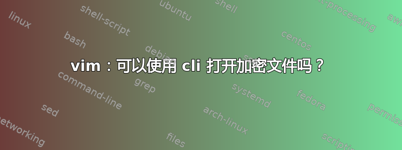 vim：可以使用 cli 打开加密文件吗？