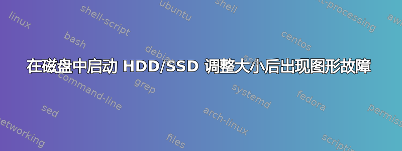 在磁盘中启动 HDD/SSD 调整大小后出现图形故障