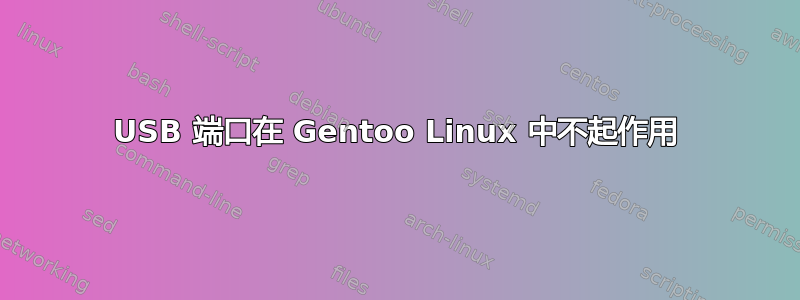 USB 端口在 Gentoo Linux 中不起作用