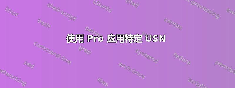 使用 Pro 应用特定 USN