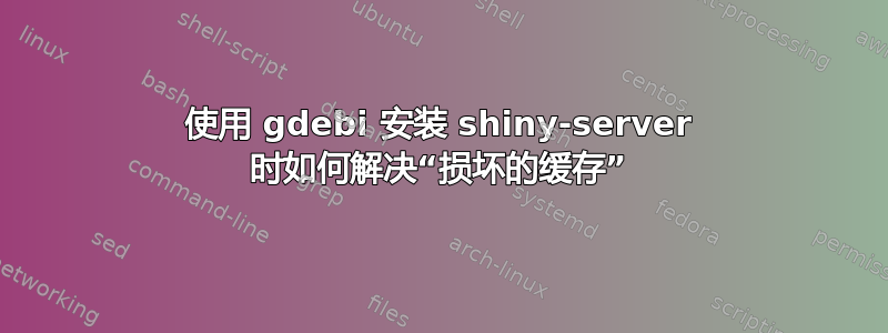 使用 gdebi 安装 shiny-server 时如何解决“损坏的缓存”