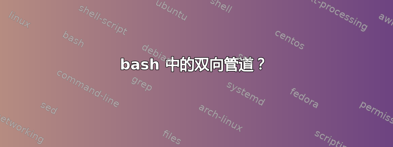 bash 中的双向管道？