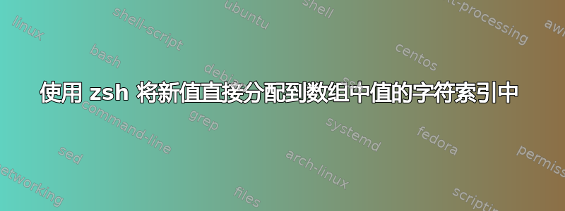 使用 zsh 将新值直接分配到数组中值的字符索引中