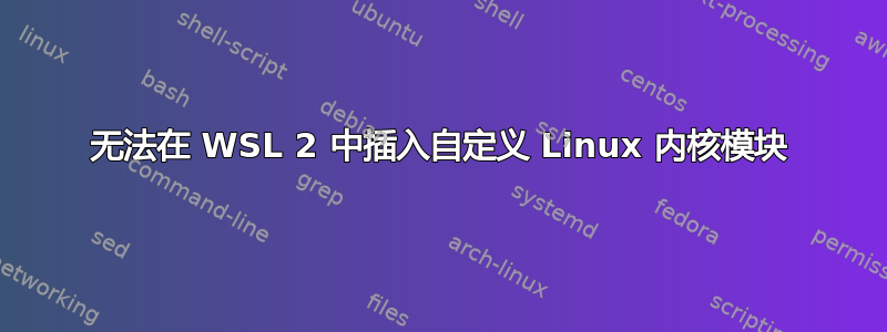 无法在 WSL 2 中插入自定义 Linux 内核模块