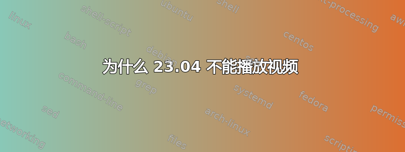 为什么 23.04 不能播放视频