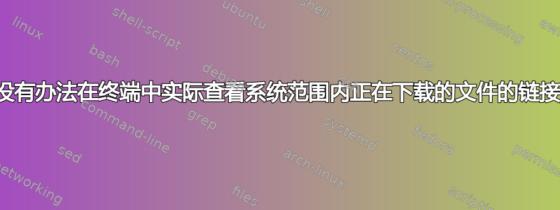 有没有办法在终端中实际查看系统范围内正在下载的文件的链接？