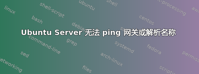 Ubuntu Server 无法 ping 网关或解析名称