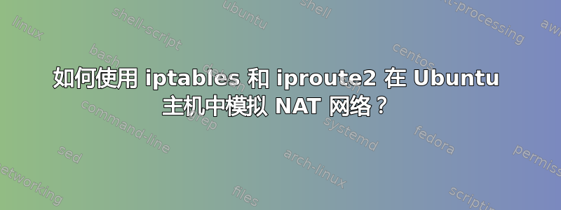 如何使用 iptables 和 iproute2 在 Ubuntu 主机中模拟 NAT 网络？