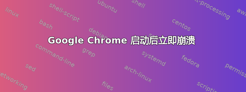 Google Chrome 启动后立即崩溃