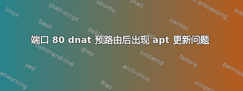 端口 80 dnat 预路由后出现 apt 更新问题