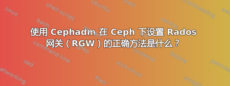 使用 Cephadm 在 Ceph 下设置 Rados 网关（RGW）的正确方法是什么？