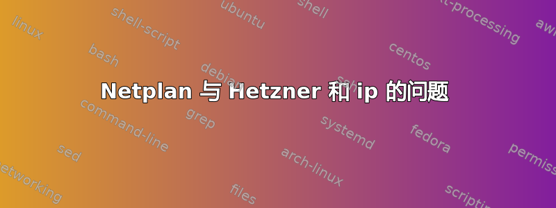 Netplan 与 Hetzner 和 ip 的问题