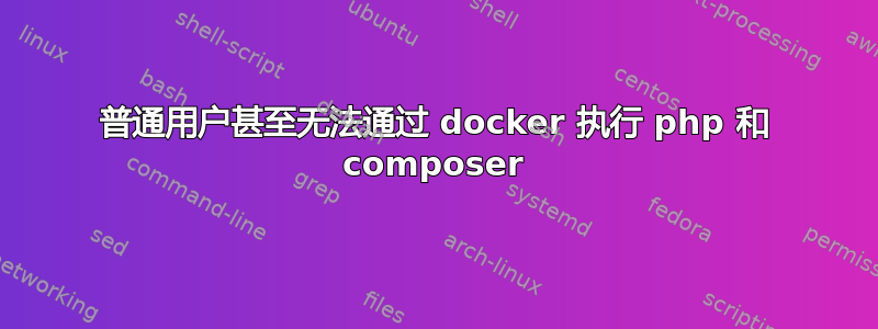 普通用户甚至无法通过 docker 执行 php 和 composer