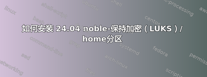 如何安装 24.04 noble-保持加密（LUKS）/ home分区