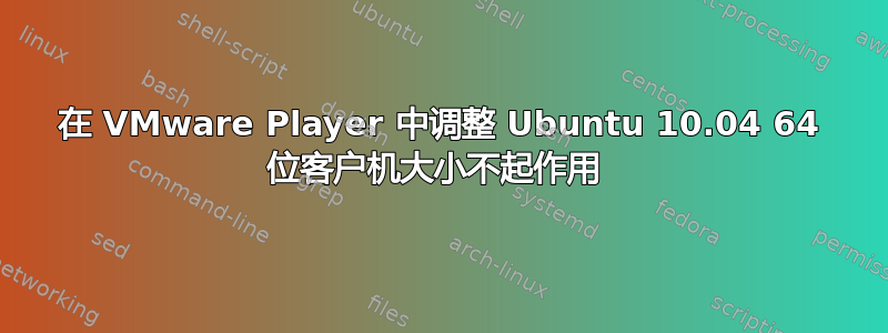 在 VMware Player 中调整 Ubuntu 10.04 64 位客户机大小不起作用 