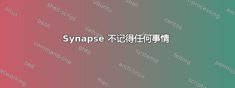 Synapse 不记得任何事情