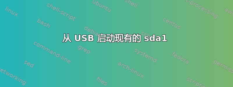 从 USB 启动现有的 sda1