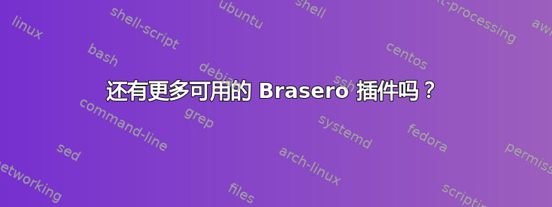 还有更多可用的 Brasero 插件吗？