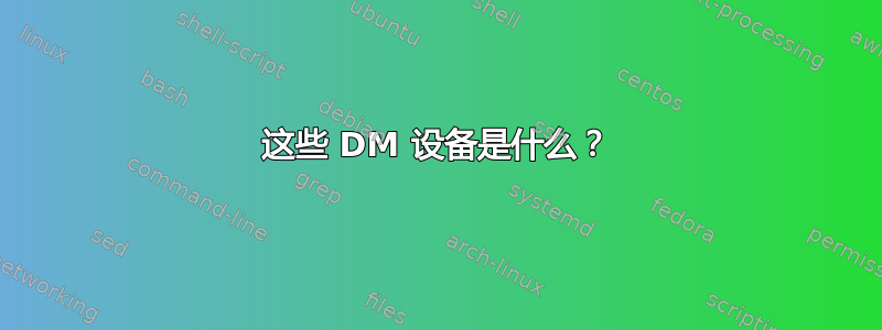 这些 DM 设备是什么？