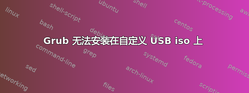 Grub 无法安装在自定义 USB iso 上