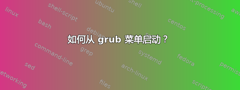 如何从 grub 菜单启动？