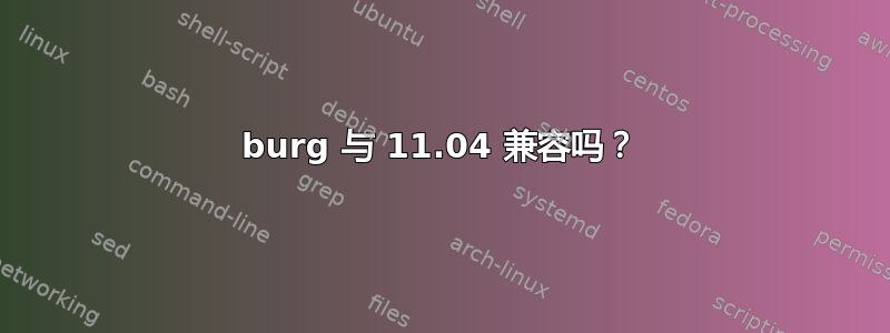 burg 与 11.04 兼容吗？