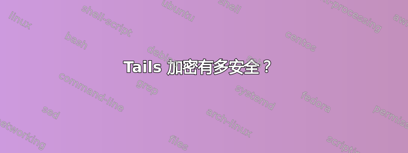 Tails 加密有多安全？ 