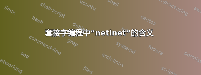 套接字编程中“netinet”的含义