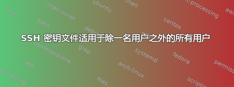 SSH 密钥文件适用于除一名用户之外的所有用户