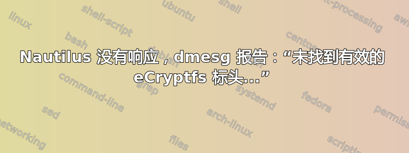 Nautilus 没有响应，dmesg 报告：“未找到有效的 eCryptfs 标头...”