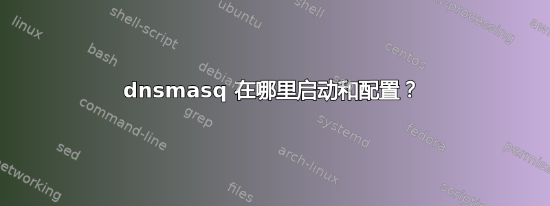 dnsmasq 在哪里启动和配置？