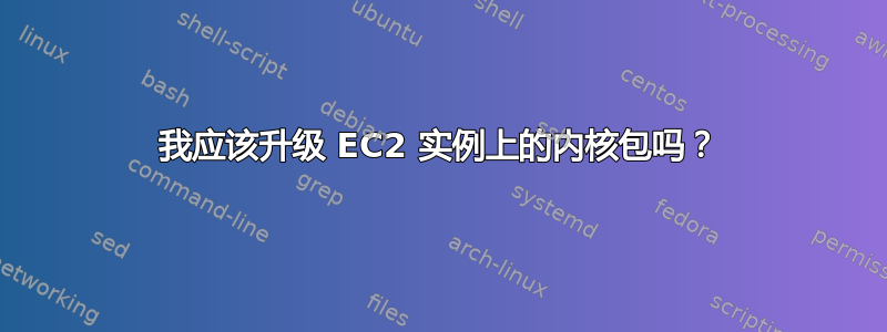 我应该升级 EC2 实例上的内核包吗？