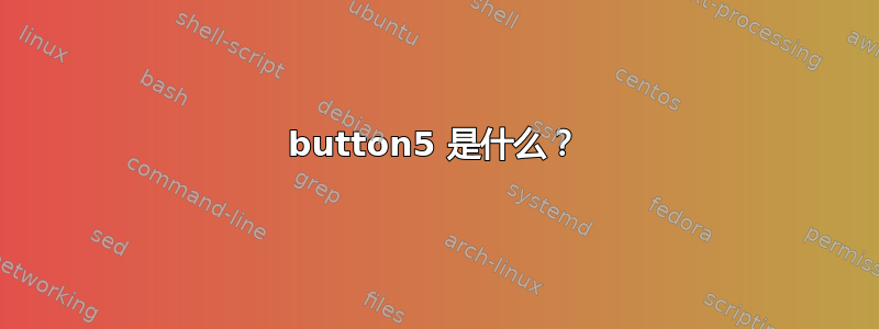 button5 是什么？